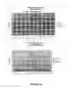 Fig. 12 - CHIMERIC MOLECULES