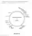 Fig. 23 - CHIMERIC MOLECULES