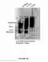 Fig. 40 - CHIMERIC MOLECULES