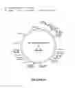 Fig. 43 - CHIMERIC MOLECULES