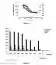 Fig. 05 - Antibodies which bind to the human CC chemokine receptor 4 and uses thereof