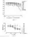Fig. 06 - Antibodies which bind to the human CC chemokine receptor 4 and uses thereof