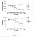 Fig. 10 - Antibodies which bind to the human CC chemokine receptor 4 and uses thereof