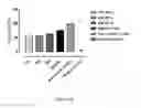 Fig. 13 - Antibodies which bind to the human CC chemokine receptor 4 and uses thereof