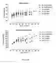 Fig. 14 - Antibodies which bind to the human CC chemokine receptor 4 and uses thereof