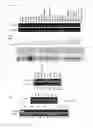 Fig. 02 - CDC45L peptides and vaccines including the same