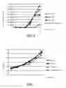 Fig. 07 - Porcine circovirus type 2 (PCV2), immunogenic composition containing the same, test kit, and application thereof