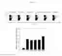 Fig. 05 - Adjuvant composition containing poly-gamma-glutamic acid-chitosan nanoparticles