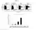 Fig. 06 - Adjuvant composition containing poly-gamma-glutamic acid-chitosan nanoparticles