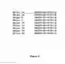 Fig. 06 - RHINOVIRUS VACCINES