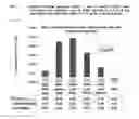 Fig. 12 - Vaccine