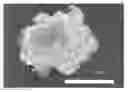 Fig. 01 - Diketopiperazine microparticles with defined specific surface areas