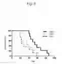 Fig. 06 - PHOTODYNAMIC THERAPEUTIC AGENT HAVING CELL-SPECIFIC ACTIVE ACCUMULATION PROPERTIES