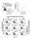 Fig. 08 - Liposomal compositions and uses of same