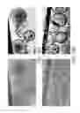 Fig. 09 - Liposomal compositions and uses of same
