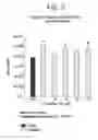 Fig. 08 - Topical co-enzyme Q10 formulations and methods of use