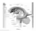Fig. 07 - Compositions and Methods for Improving Prognosis of a Human with Subarachnoid Hemorrhage