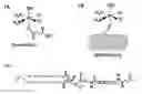 Fig. 01 - Soluble Nanoparticles as Delivery Systems for Prodrugs