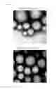 Fig. 04 - CONSTRUCT COATED WITH VIRUS COAT-CONSTITUTING PROTEIN AND METHOD FOR PRODUCING SAME