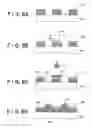 Fig. 07 - METHOD AND DEVICE FOR FORMING PATTERN