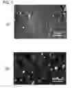 Fig. 06 - Method for producing composite and the composite