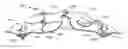 Fig. 01 - DECORATIVE ACCESSORY