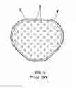 Fig. 03 - SPORTS PAD