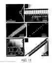 Fig. 15 - MATRIX ASSISTED INK TRANSPORT