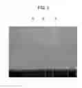 Fig. 03 - DECORATIVE CONCRETE BLOCK AND METHOD OF MANUFACTURING DECORATIVE CONCRETE BLOCK