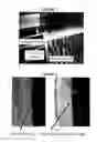 Fig. 02 - Label and method of manufacturing the same from recycled material