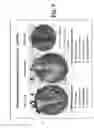 Fig. 06 - Ceramic welds, and a method for producing the same