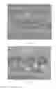Fig. 12 - Inorganic Particle Composite Body and Method for Producing Inorganic Particle Composite Body