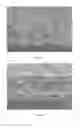 Fig. 13 - Inorganic Particle Composite Body and Method for Producing Inorganic Particle Composite Body