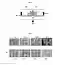 Fig. 04 - MULTILAYER BARRIER FILM
