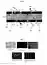 Fig. 05 - MULTILAYER BARRIER FILM