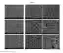 Fig. 06 - MULTILAYER BARRIER FILM