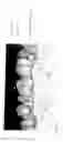 Fig. 05 - Method of producing a steel component provided with a metallic coating giving protection against corrosion