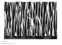 Fig. 03 - Electrode for lithium ion batteries