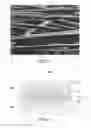 Fig. 04 - COLLECTOR MEMBER, POWER GENERATOR, AND METHOD OF MANUFACTURING COLLECTOR MEMBER FOR POWER GENERATOR