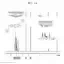 Fig. 12 - Crosslinked polybenzoxazines, electrolyte membrane including the same, and fuel cell employing the electrolyte membrane