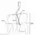 Fig. 01 - PERIODONTAL SCALER