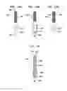 Fig. 35 - Dental implement having lumen and distal threading