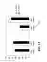 Fig. 20 - SERS Nanotag Assays