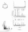 Fig. 10 - APPARATUS AND METHOD FOR PERFORMING NUCLEIC ACID ANALYSIS