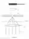 Fig. 12 - APPARATUS AND METHOD FOR PERFORMING NUCLEIC ACID ANALYSIS