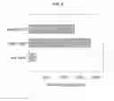 Fig. 05 - Quantitation of cellular DNA and cell numbers using element labeling