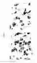 Fig. 04 - Set of oligonucleotide probes as well as methods and uses thereto