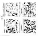 Fig. 09 - Set of oligonucleotide probes as well as methods and uses thereto
