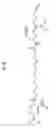 Fig. 12 - Set of oligonucleotide probes as well as methods and uses thereto