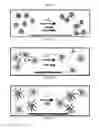 Fig. 07 - NMR systems and methods for the rapid detection of analytes